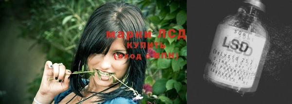 хмурый Зеленокумск