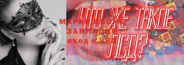 хмурый Зеленокумск