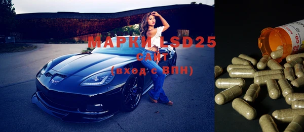 амф Зеленодольск