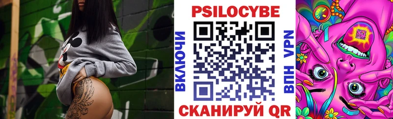 Галлюциногенные грибы Psilocybe  Купить где  Ногинск 